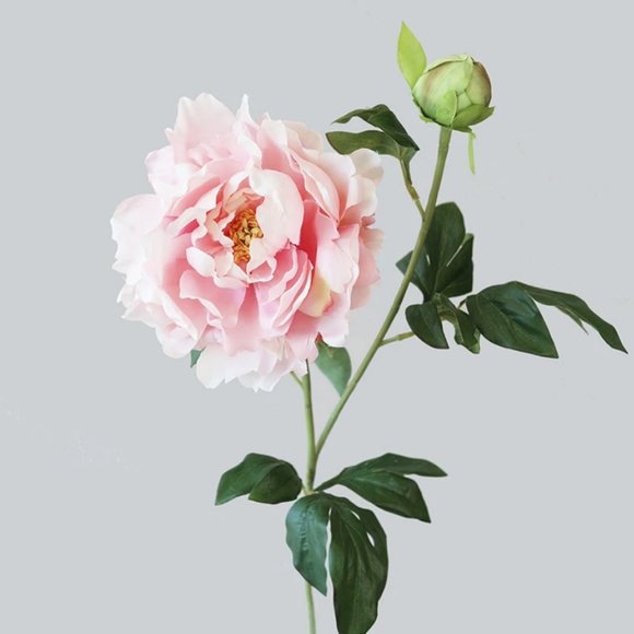 Meet your Posher, ST - Picture 1 of 1